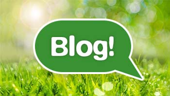 Permalink auf:Gölz Blog Permalink auf:Gölz Blog
